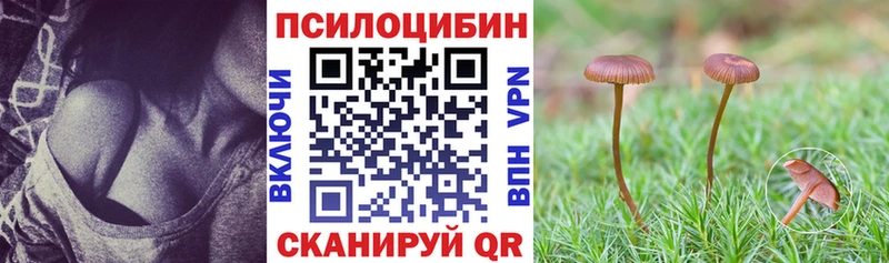 Псилоцибиновые грибы Cubensis  Десногорск 